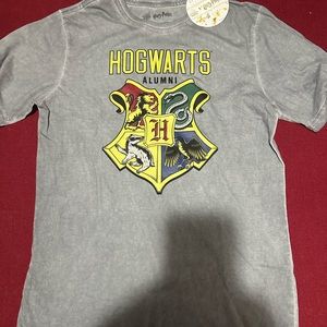 Harry Potter Wizarding World Boy's Hogwarts Alumni Crest T-Shirt Gray Size 18